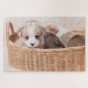 Quebra-cabeça Cutest Baby Animals Corgi Tiny Puppy