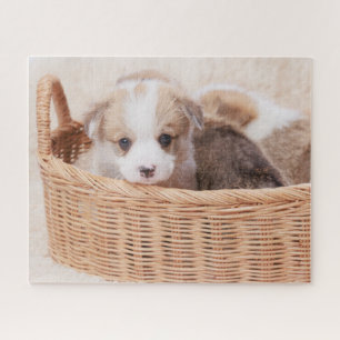 Quebra-cabeça Cutest Baby Animals Corgi Tiny Puppy