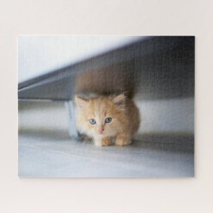 Quebra-cabeça Cutest Baby Animals Fluffy Orange Kitten