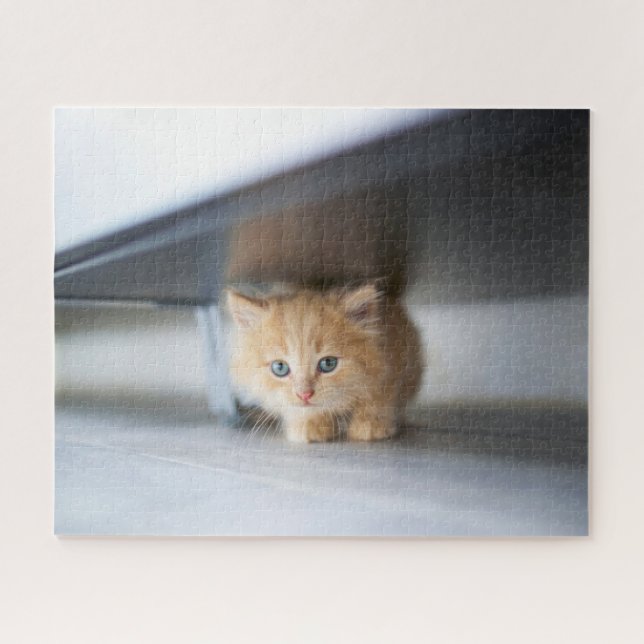 Quebra-cabeça Cutest Baby Animals | Fluffy Orange Kitten (Horizontal)
