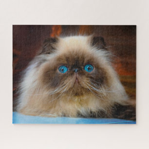 Quebra-cabeça Cutest Baby Animals Himalayan Cat
