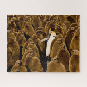 Quebra-cabeça Cutest Baby Animals Penguin Among Youngsters