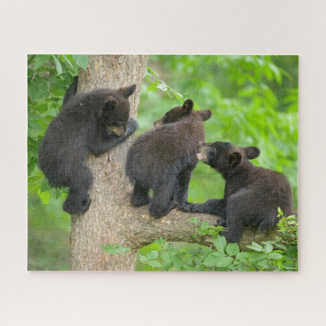 Quebra-cabeça Cutest Baby Animals | Three Young Black Bear Cubs (Horizontal)