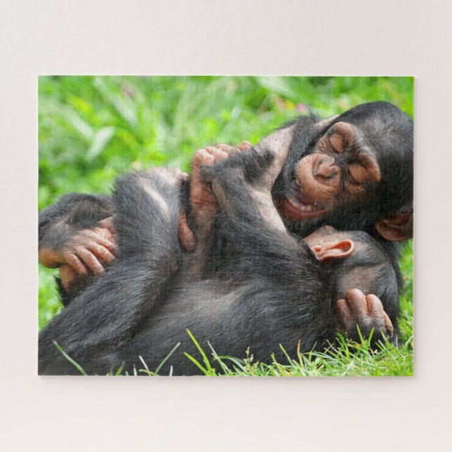 Quebra-cabeça Cutest Baby Animals | Two Young Chimpanzees (Horizontal)