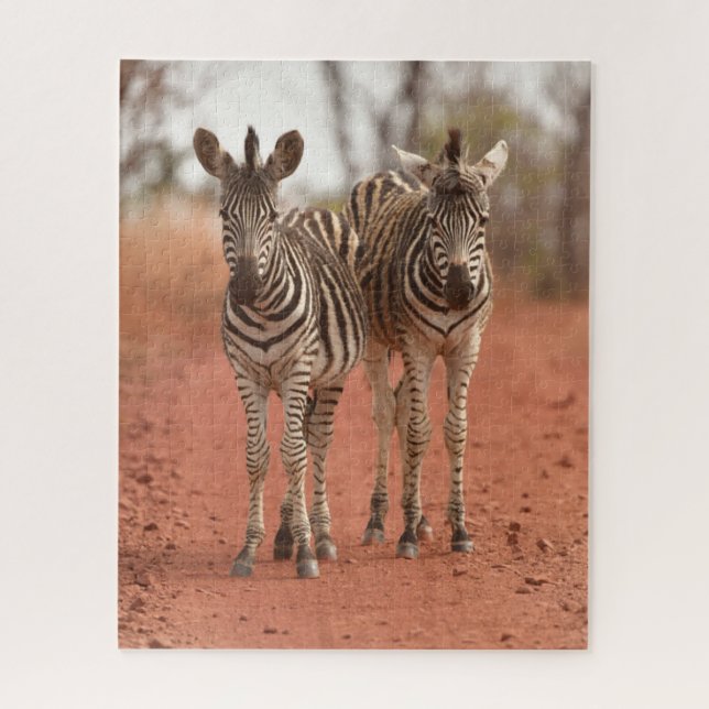 Quebra-cabeça Cutest Baby Animals | Two Young Zebras (Vertical)