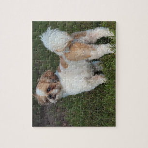 Quebra-cabeça Cutest Shih Tzu
