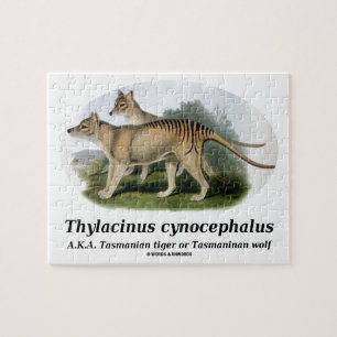 Quebra-cabeça Cynocephalus do Thylacinus (tigre ou lobo