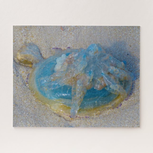 Quebra-cabeça da Água-viva (Horizontal)