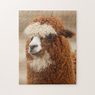 Quebra-cabeça da alpaca