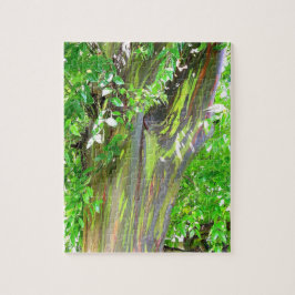 Quebra-cabeça da árvore do arco-íris