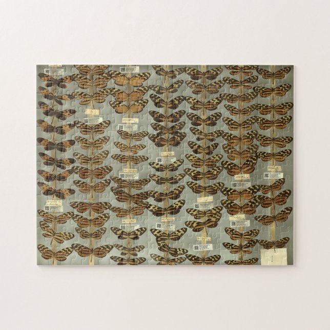 Quebra-cabeça da borboleta (Horizontal)