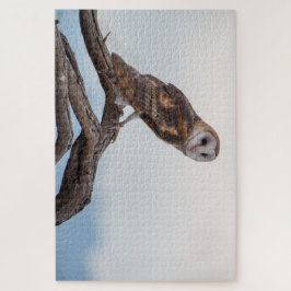 Quebra-cabeça da coruja