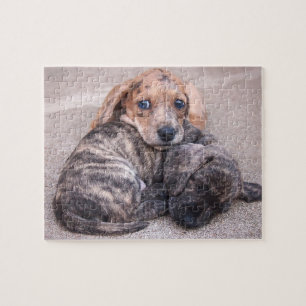 Quebra-cabeça da epopeia dos Dachshunds de Eridox