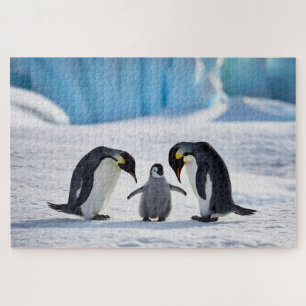 Quebra-cabeça da Família Penguin