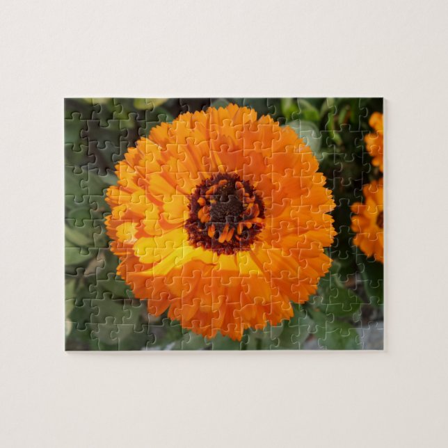 Quebra-cabeça da Flor Laranja (Horizontal)