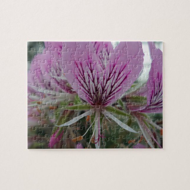 Quebra-cabeça da Flor Vermelha Rosa (Horizontal)