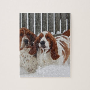 Quebra-cabeça da foto de Basset Hound 8x10 com