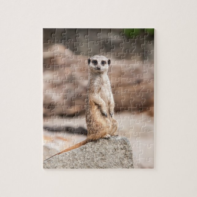 Quebra-cabeça da foto de Meerkat (Vertical)