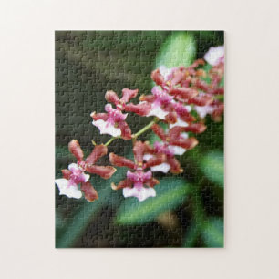 Quebra-cabeça da foto de Oncidium 10x14 do bebê