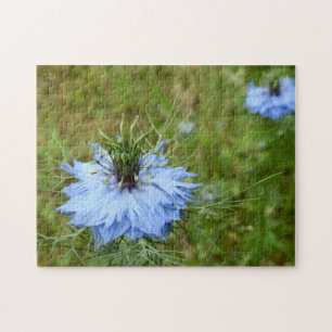 Quebra-cabeça da foto do Cornflower