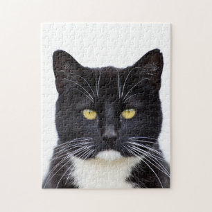 Quebra-cabeça da foto do gato 11x14 do smoking co