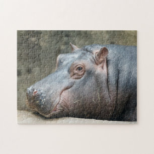 Quebra-cabeça da foto do Hippopotamus