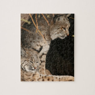 Quebra-cabeça da foto do lince