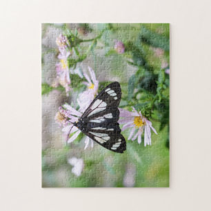 Quebra-cabeça da fotografia da borboleta