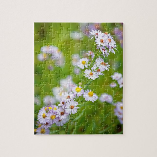 Quebra-cabeça da Linha de Beleza (Vertical)