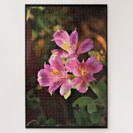 Quebra-cabeça da Lírio Alstroemeria Rosa