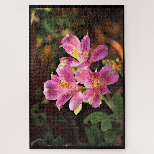 Quebra-cabeça da Lírio Alstroemeria Rosa (Vertical)