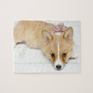 Quebra-cabeça da nova