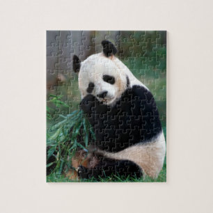 Quebra-cabeça da panda
