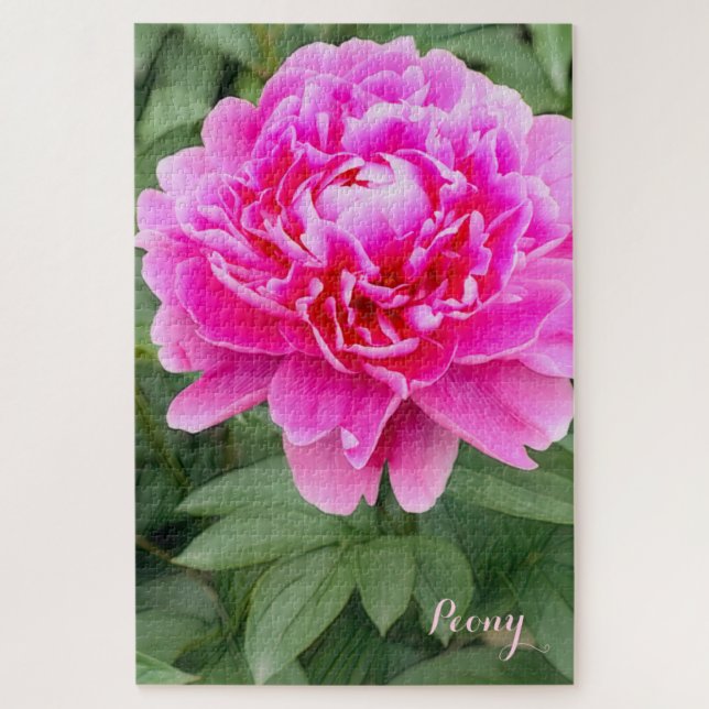 Quebra-cabeça da Peônia [Flor] (Vertical)