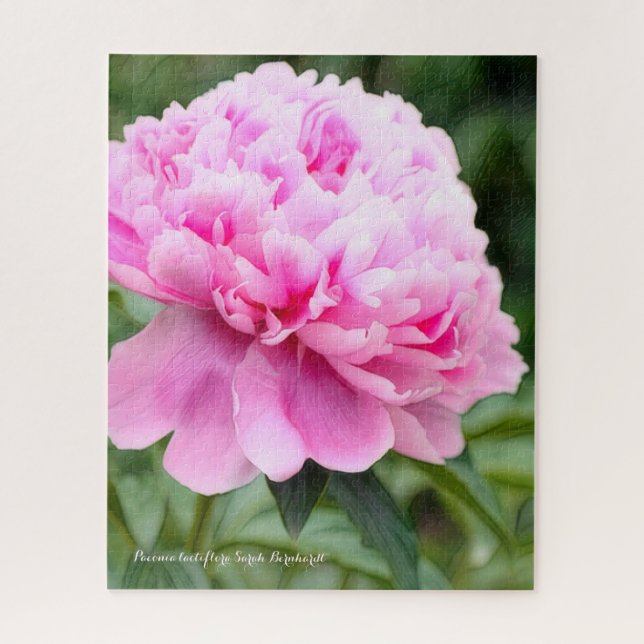 Quebra-cabeça da Peônia [Flor] (Vertical)