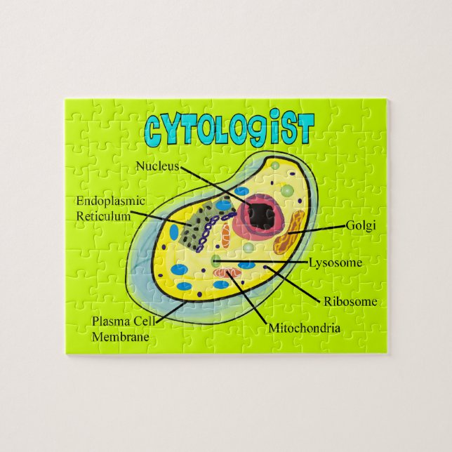 Quebra-cabeça da pilha humana do Cytologist (Horizontal)