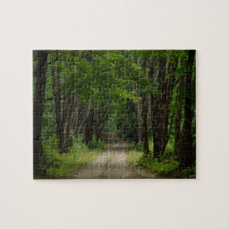 Quebra-cabeça da pista do verão