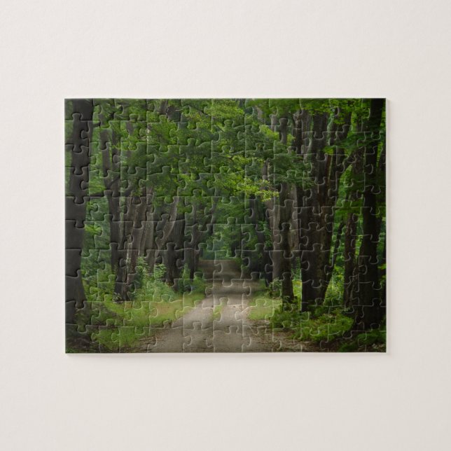 Quebra-cabeça da pista do verão (Horizontal)