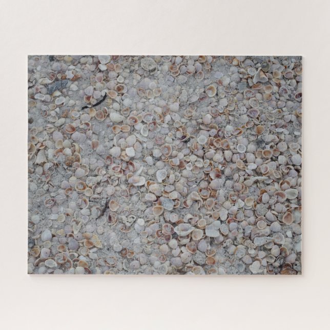 Quebra-cabeça da praia dos Seashells da costa do (Horizontal)