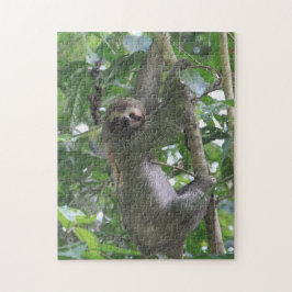 Quebra-cabeça da preguiça