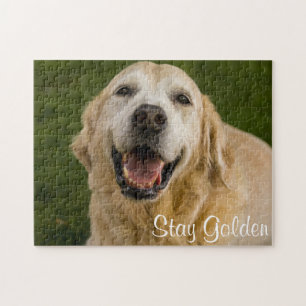 Quebra-cabeça Da "quebra-cabeça dourado do golden retriever