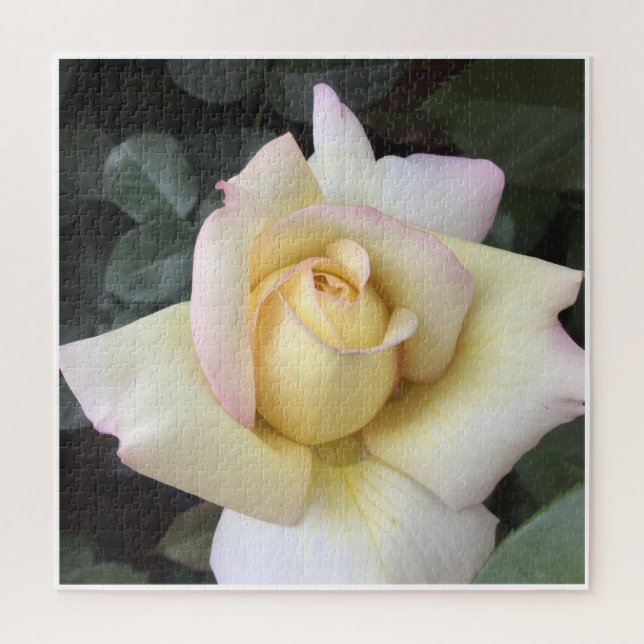Quebra-cabeça da Rosa (Vertical)