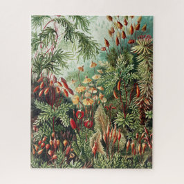 Quebra-cabeça da Selva Selva