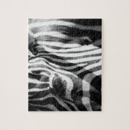 Quebra-cabeça Da zebra fim acima