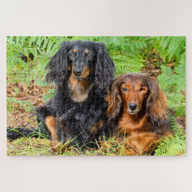Quebra-cabeça Dachshances (Horizontal)