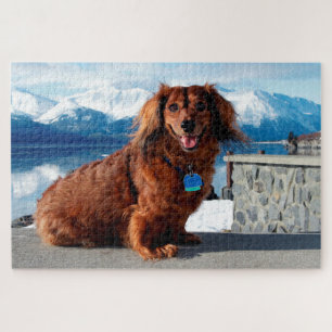 Quebra-cabeça Dachshund