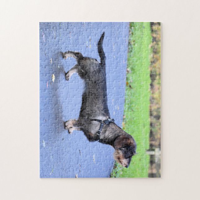 Quebra-cabeça dachshund arameado completo (Vertical)
