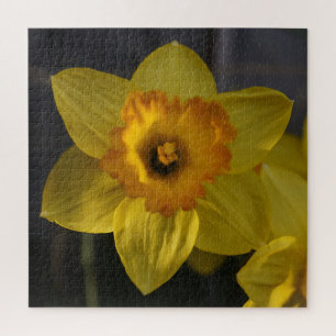 Quebra-cabeça Daffodil Amarelo