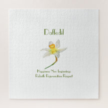 Daffodil iluminado por sol com significado floral