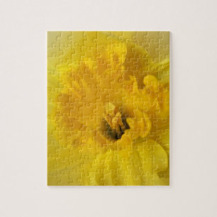 Quebra-cabeça daffodilo amarelo
